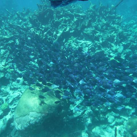 DSCF1441