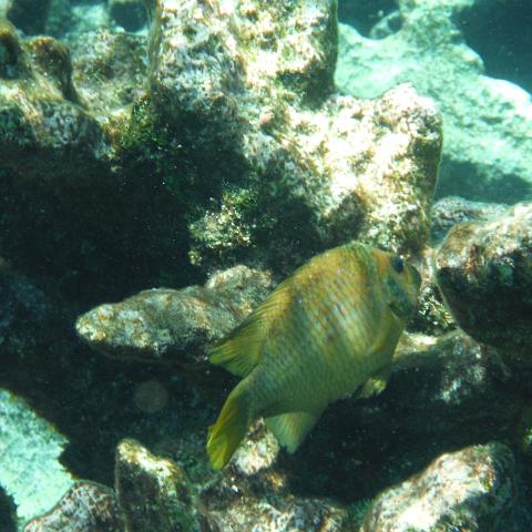 DSCF1467