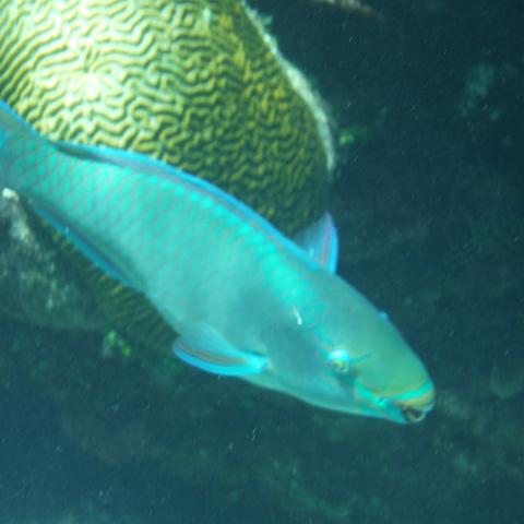DSCF1469