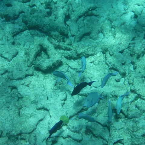 DSCF1477