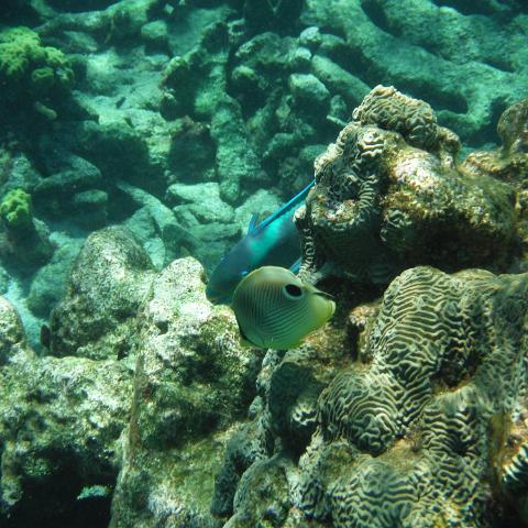 DSCF1491