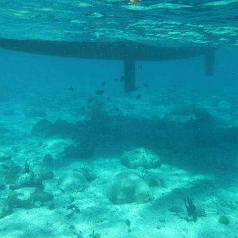 DSCF1535
