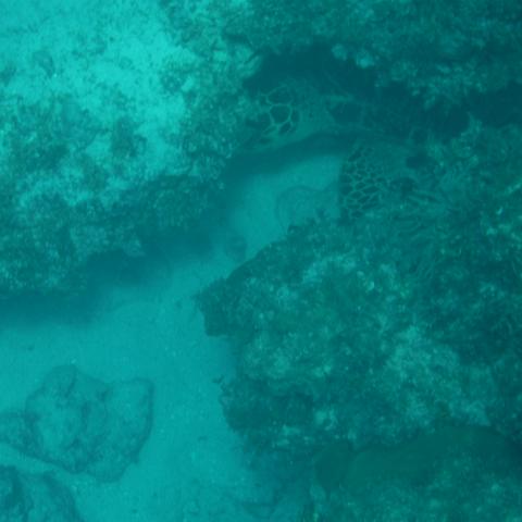 DSCF1604