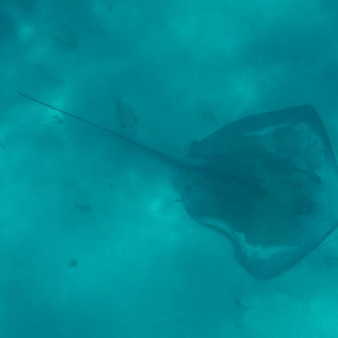 DSCF1629