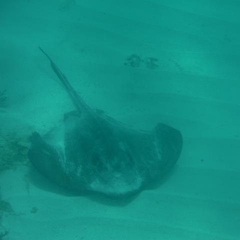 DSCF1655
