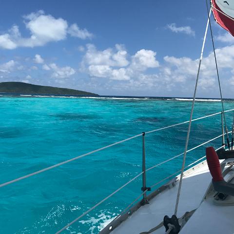 IMG 0050