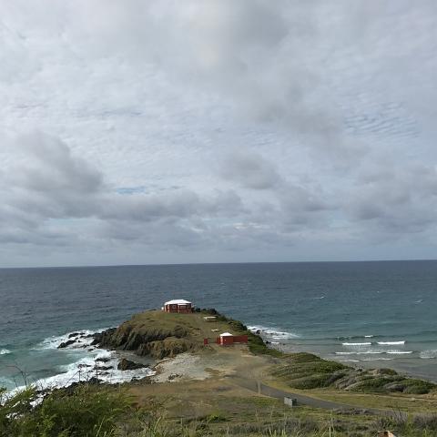 IMG 9486