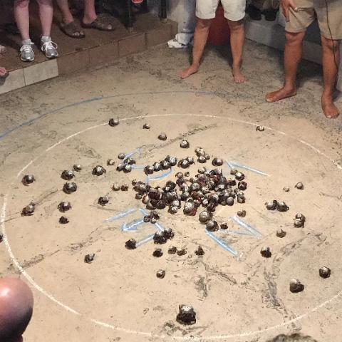IMG 9588
