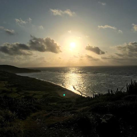 IMG 9639
