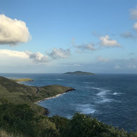 IMG 9747