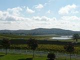 P1070930