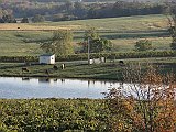 DSC02949
