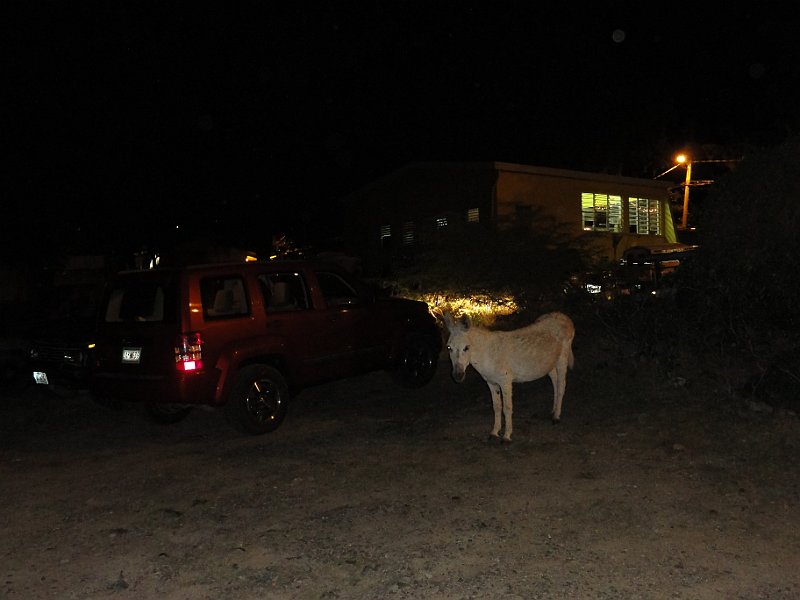 DSC09685.JPG