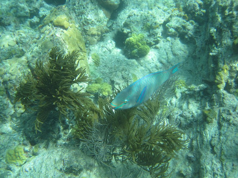 IMG_5457.JPG