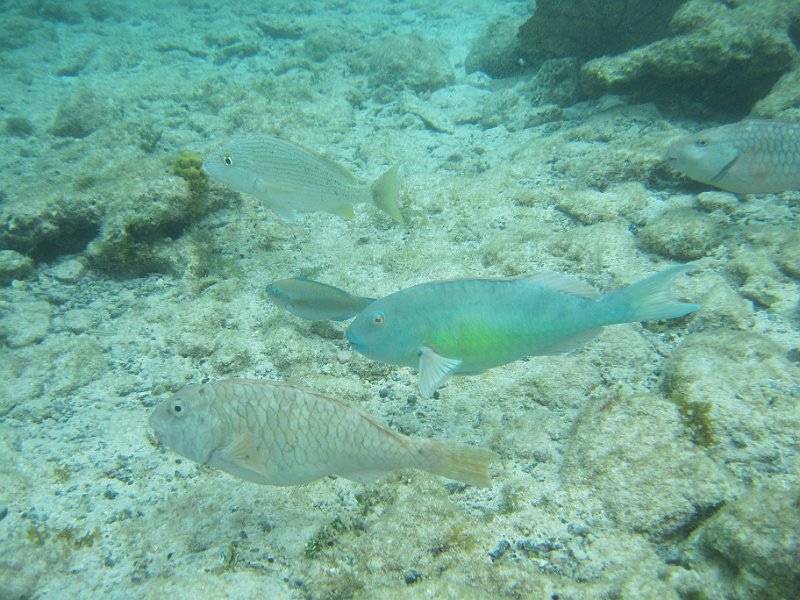 IMG_5481.JPG
