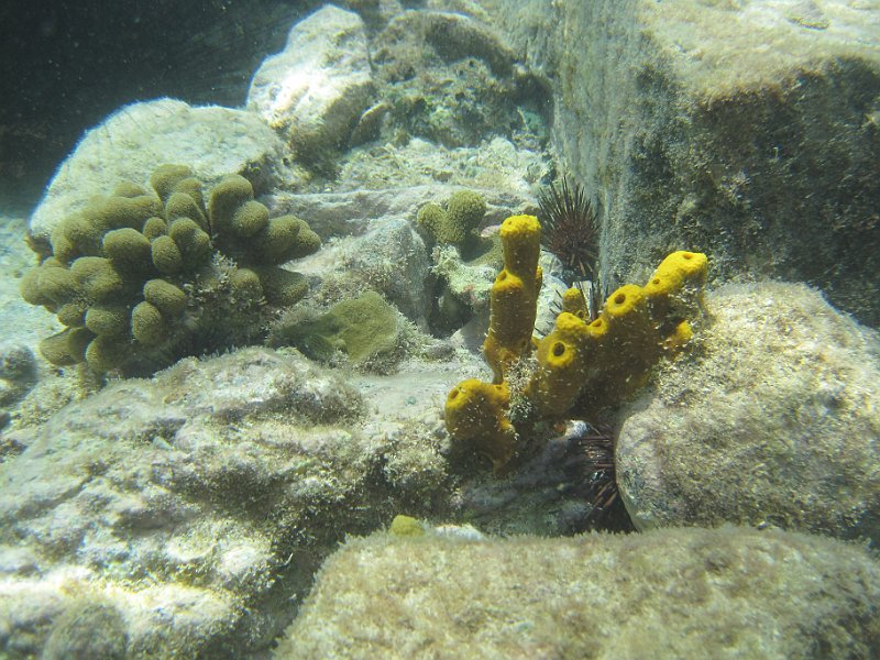 IMG_5585.JPG