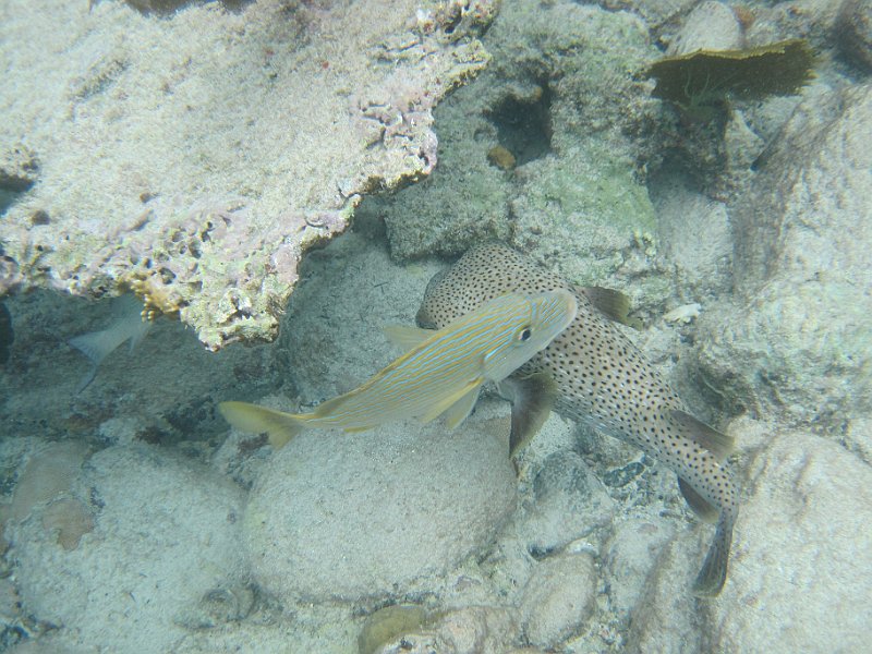 IMG_5732.JPG