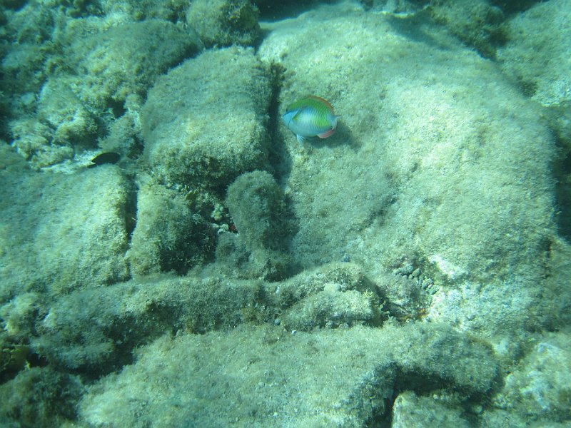IMG_5799.JPG