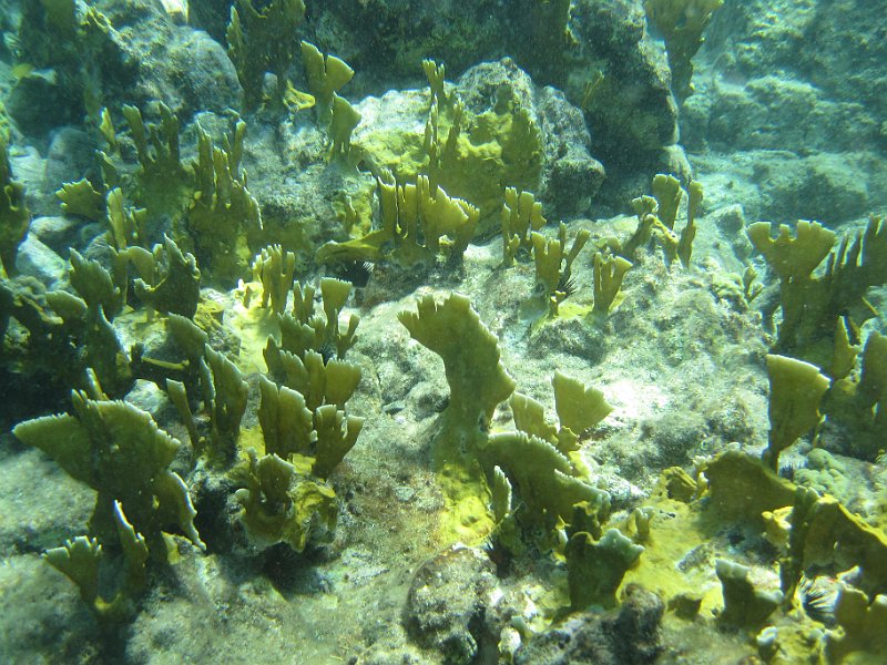 IMG_6046.JPG