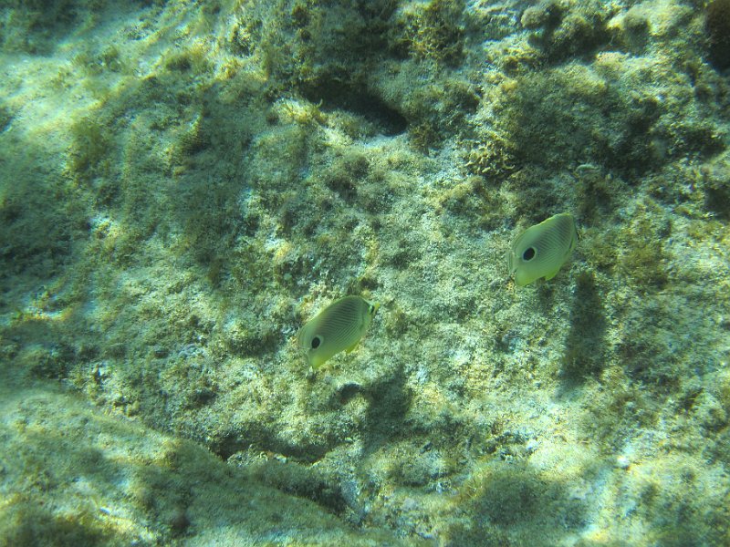 IMG_6093.JPG