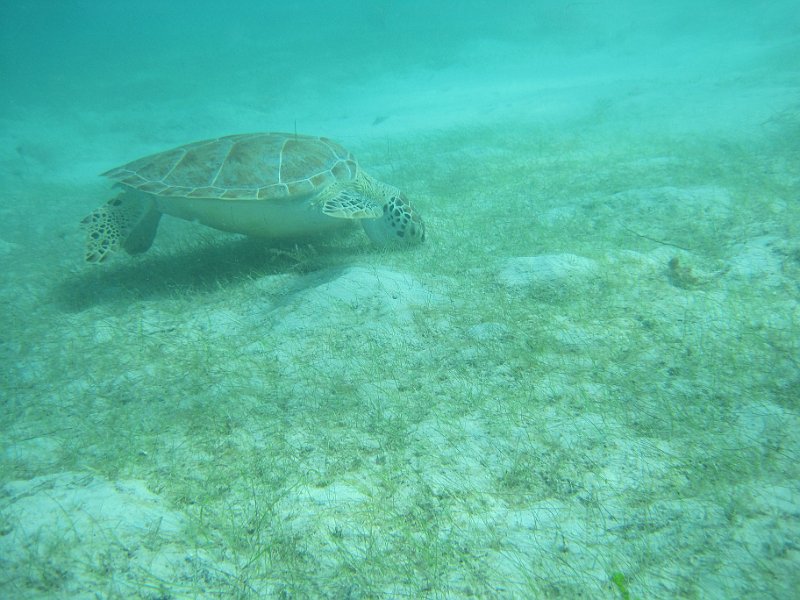 IMG_6336.JPG