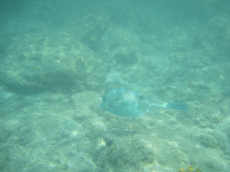 IMG_6448.JPG
