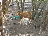 DSC00074