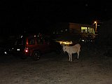 DSC09685