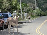 DSC09849