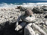 DSC09862