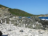 DSC09866