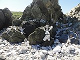 DSC09876