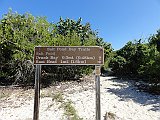 DSC09891