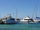 DSC09972