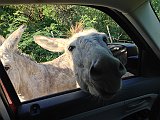 IMG_0926