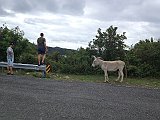 IMG_2903