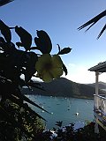 IMG_2933