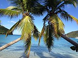 IMG_2957