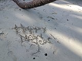 IMG_2972