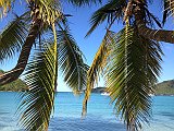 IMG_2974