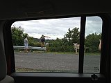 IMG_3821