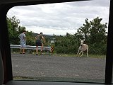 IMG_3822