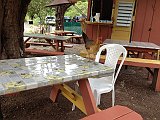IMG_3837