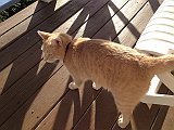 IMG_3860