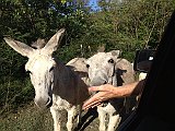 IMG_3864