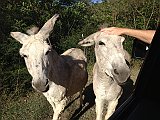 IMG_3865