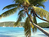 IMG_3903