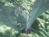IMG_5434