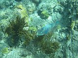 IMG_5457