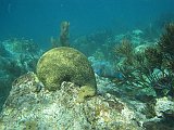IMG_5459